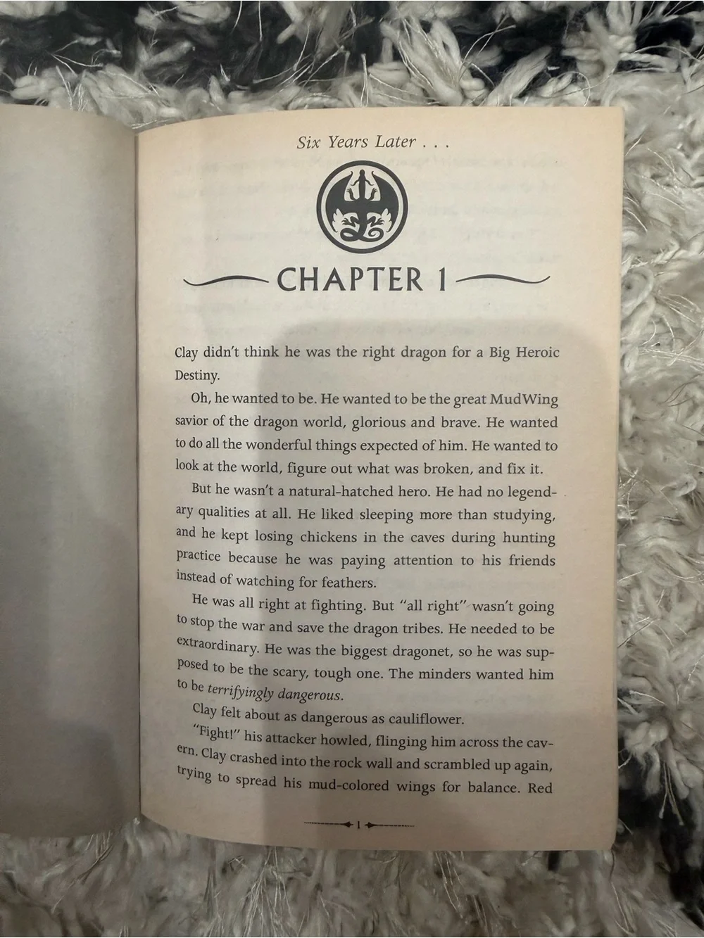 Back cover of a book